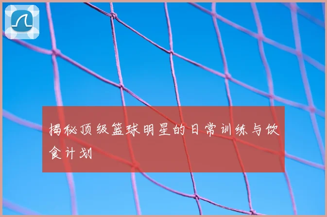 揭秘顶级篮球明星的日常训练与饮食计划