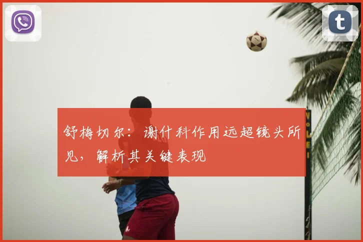 舒梅切尔:谢什科作用远超镜头所见,解析其关键表现